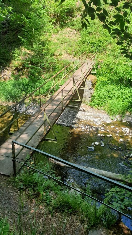 Appartamento Ferienhaus Auszeit Bad Bertrich Esterno foto