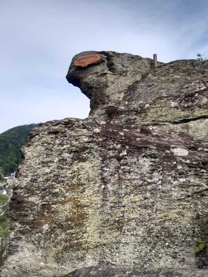 Appartamento Ferienhaus Auszeit Bad Bertrich Esterno foto