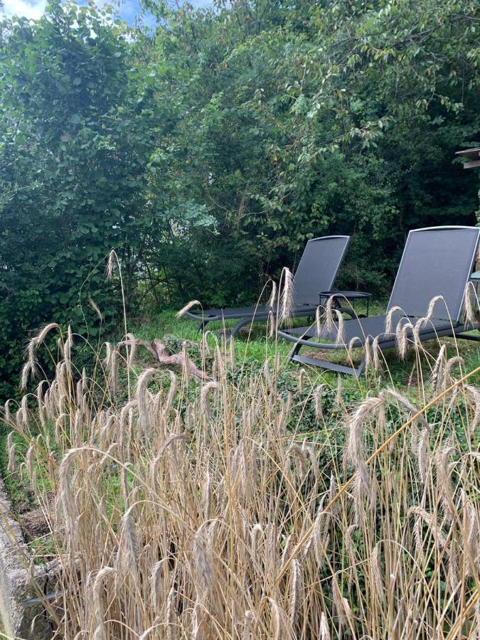 Appartamento Ferienhaus Auszeit Bad Bertrich Esterno foto